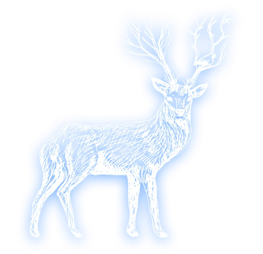 Deer Image