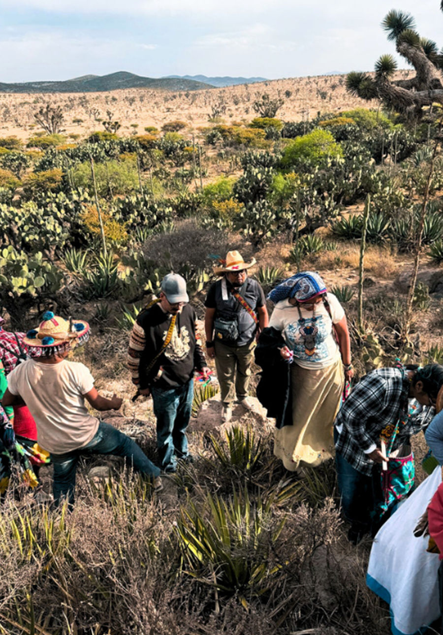 Group of people gathered on a hillside surrounded by cacti and desert vegetation during a ceremony.