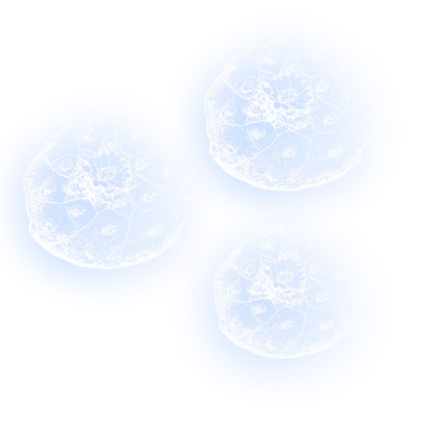 Spirit of the Blue Deer About